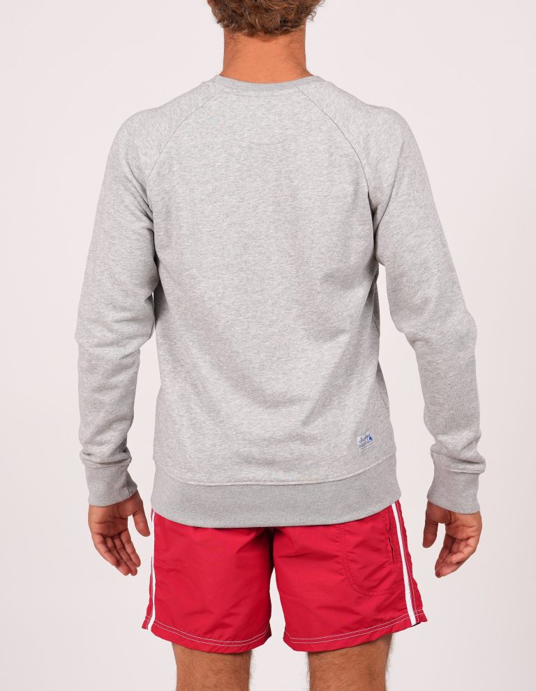 Mens SWMINISURFM Grey Back 2560 pixels